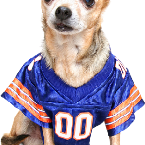 Dog Jersey