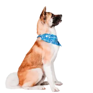 Pet Bandana
